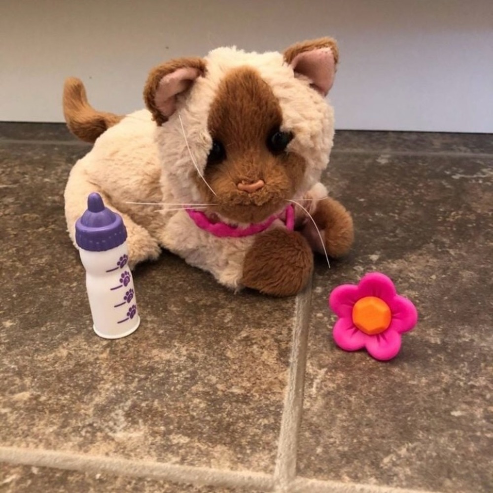 FurReal Siamese Kitten